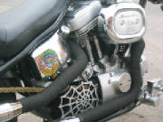 Harley Davidson Evo Sportster - Custom Rigid