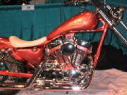 Harley Davidson Modified Sportster