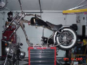 Harley Sportster Rigid Custom